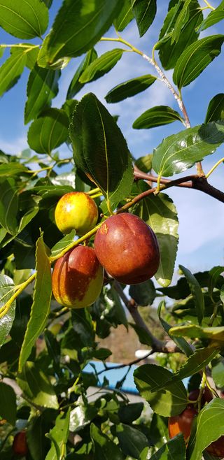 홍상옥님의 작성글 사진