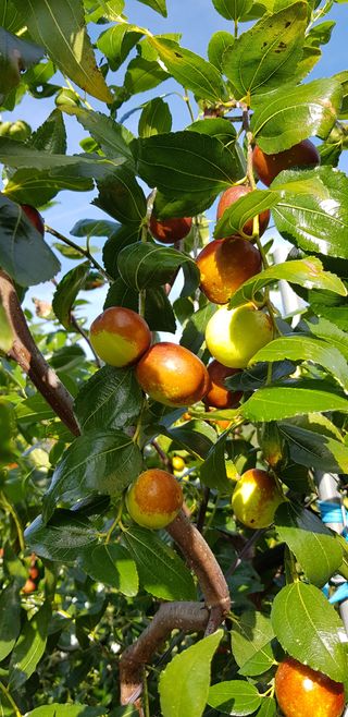 홍상옥님의 작성글 사진