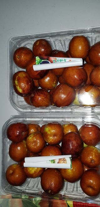 홍상옥님의 작성글 사진