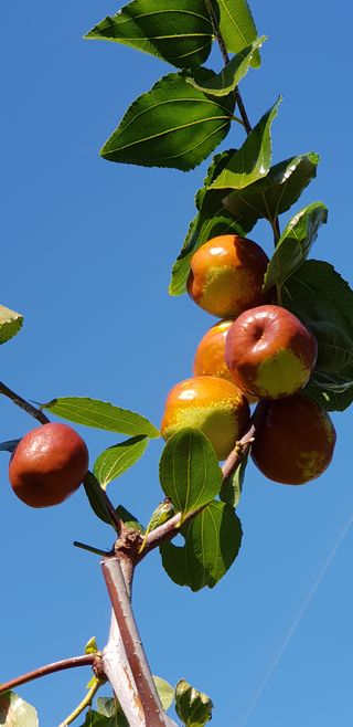 홍상옥님의 작성글 사진