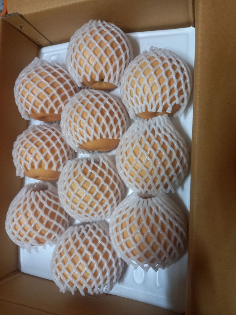 장터 상품 [신고   배 7.5  키로   24000원   15 키로  49000원   가정용    24000 원] 썸네일