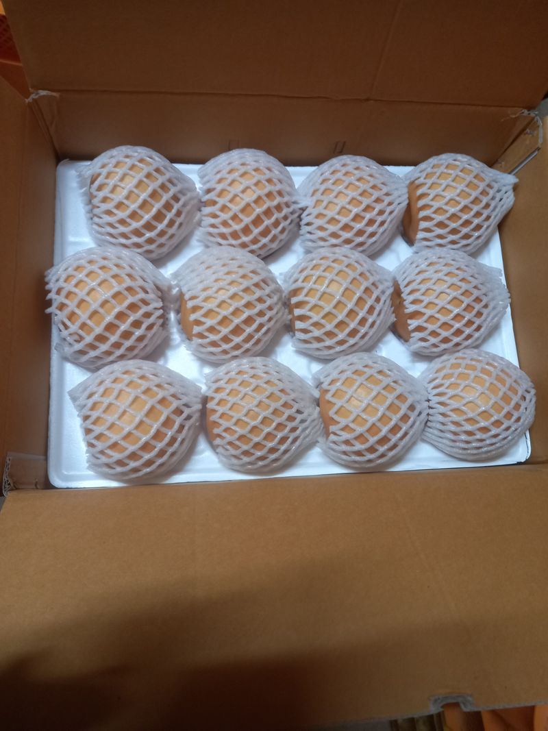 만석농원직판장화이팅님의 장터 판매 상품 [신고   배 7.5  키로   24000원   15 키로  49000원   가정용    24000 원] 첨부 사진