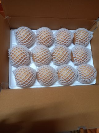 만석농원직판장화이팅님의 작성글 사진