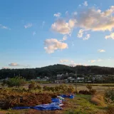 팜모닝 양파·자유게시판 게시글 이미지