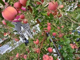 김은숙님의 시금치 · 일상 작성글 사진