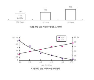 마늘 농사도우미님의 마늘 · 파종작업 작성글 사진