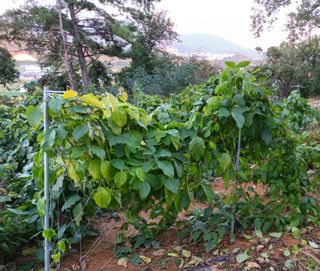 강신근님의 작성글 사진