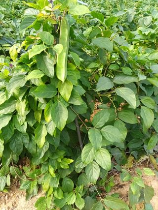 강신근님의 작성글 사진