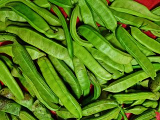 강신근님의 작성글 사진