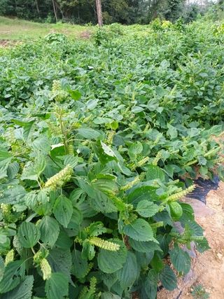 강신근님의 작성글 사진