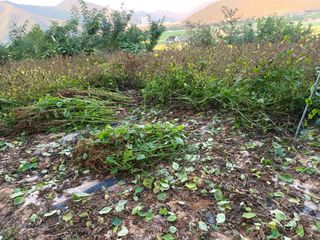 강신근님의 작성글 사진