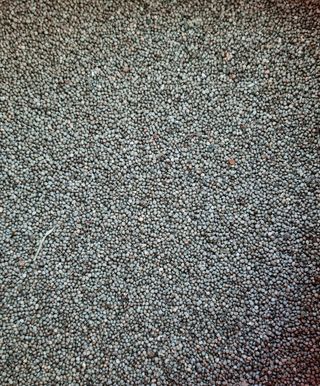 강신근님의 작성글 사진