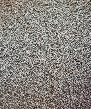 강신근님의 작성글 사진