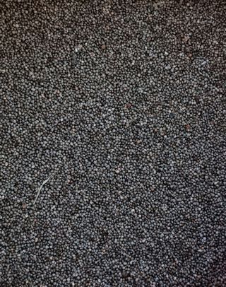 강신근님의 작성글 사진