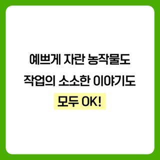 팜모닝 농사도우미님의 팜모닝공식 · 혜택 작성글 사진