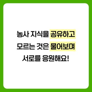 팜모닝 농사도우미님의 팜모닝공식 · 혜택 작성글 사진