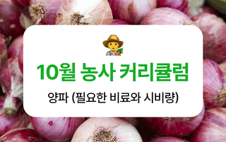 양파 농사도우미님의 양파 · 농사길잡이 작성글 사진
