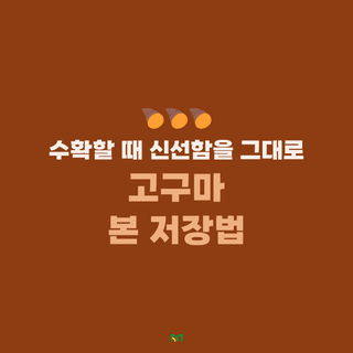 ๊ณ ๊ตฌ๋ง ๋์ฌ๋์ฐ๋ฏธ๋์ ๊ณ ๊ตฌ๋ง ยท ๋์ฌ๊ธธ์ก์ด ์์ฑ๊ธ ์ฌ์ง