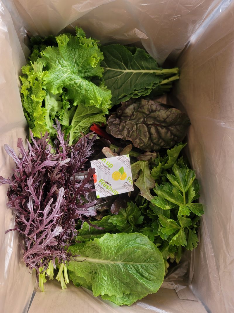 민이들아빠님의 장터 판매 상품 [유기농모듬쌈채소 ] 첨부 사진