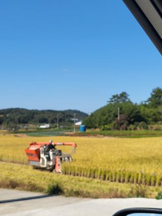 장동석님의 벼 · 자유게시판 작성글 사진