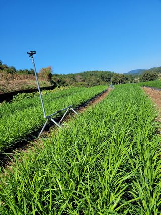 김원국님의 파 · 자유게시판 작성글 사진