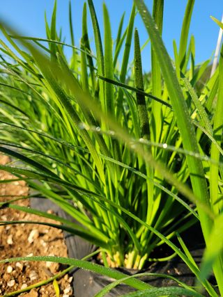 김원국님의 파 · 자유게시판 작성글 사진