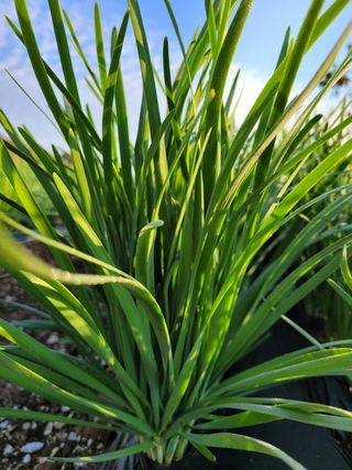 김원국님의 파 · 자유게시판 작성글 사진