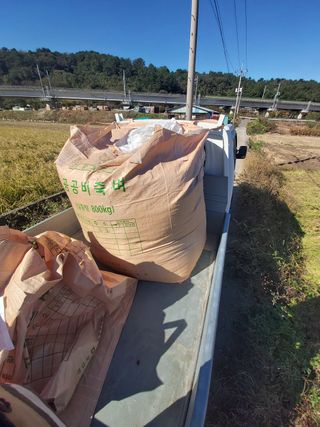 여수 여수님의 벼 · 자유게시판 작성글 사진