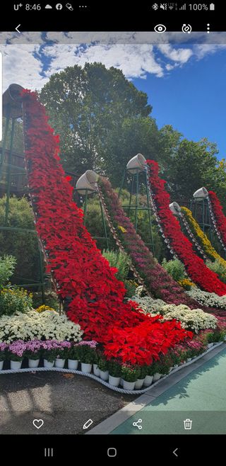 국화 6409님의 귤 · 일상 작성글 사진