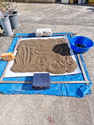 조호곤님의 들깨 · 자유게시판 작성글 사진