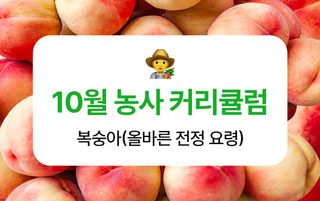 복숭아 농사도우미님의 복숭아 · 농사길잡이 작성글 사진