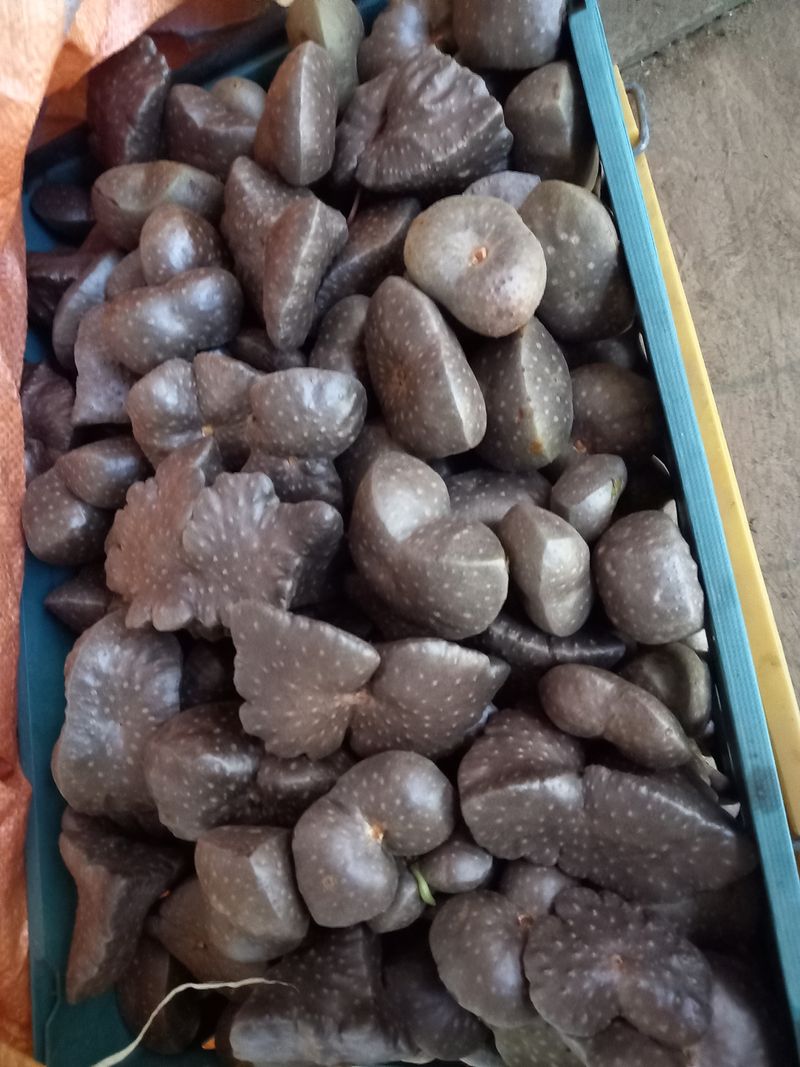 장터 상품 [하늘마 1kg10000원(택배비포함)5kg이상] 썸네일