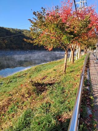 김미경님의 포도 · 자유게시판 작성글 사진