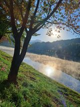 팜모닝 포도·자유게시판 게시글 이미지