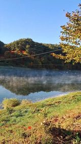 팜모닝 감·자유게시판 게시글 이미지