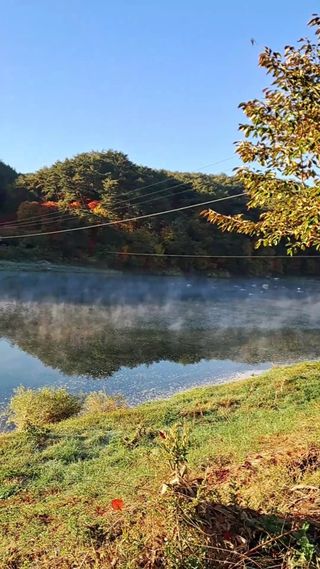 김미경님의 감 · 자유게시판 작성글 사진
