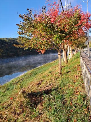 김미경님의 감 · 자유게시판 작성글 사진