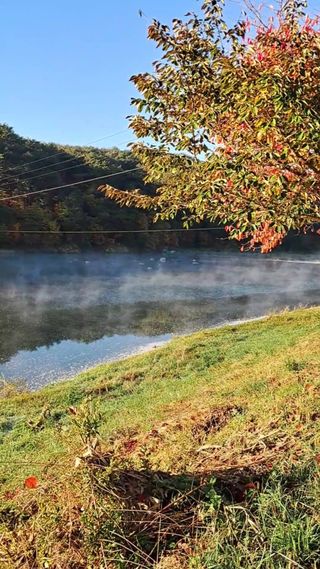 김미경님의 감 · 자유게시판 작성글 사진