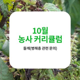 알 수 없음님의 들깨 · 농사길잡이 작성글 사진