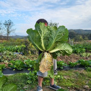 이유미님의 시금치 · 일상 작성글 사진