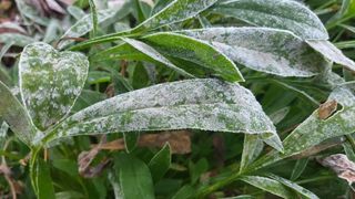 유춘자님의 기타작물 · 자유게시판 작성글 사진