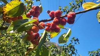 유춘자님의 기타작물 · 자유게시판 작성글 사진