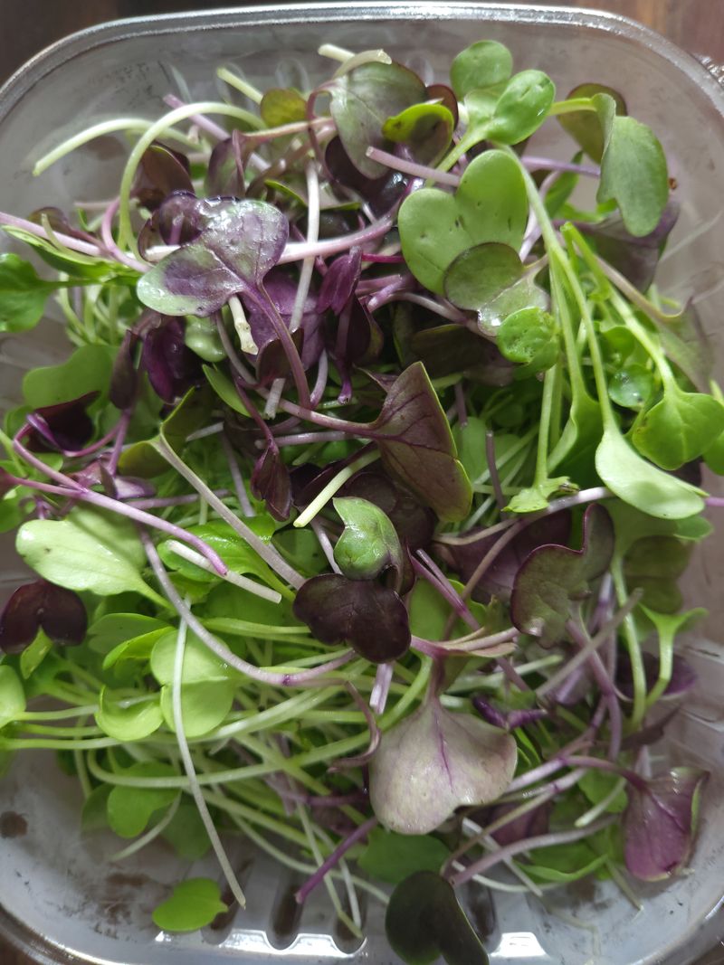 장터 상품 [어린잎채소-고기용 18,000원] 썸네일