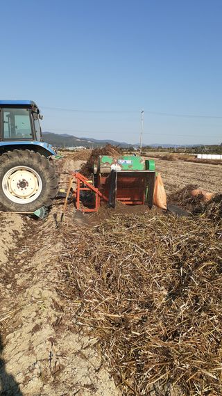 송광만님의 들깨 · 자유게시판 작성글 사진