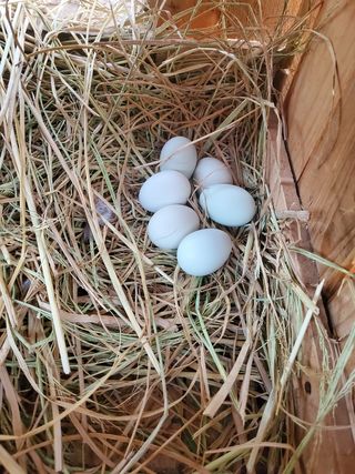 서정훈 님의 기타작물 · 자유게시판 작성글 사진