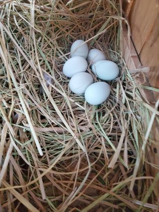 서정훈 님의 기타작물 · 자유게시판 작성글 사진