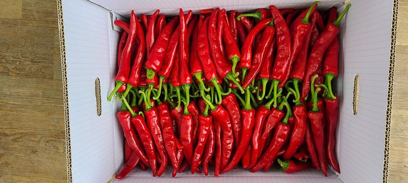 평창산들농장님의 장터 판매 상품 [고추가루 (보통맛) 1근(600g)  16,000원] 첨부 사진