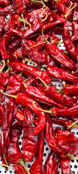 평창산들농장님의 작성글 사진