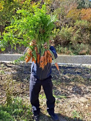 나겡이 농장님의 기타작물 · 자유게시판 작성글 사진
