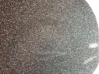 초보농사님의 파 · 자유게시판 작성글 사진